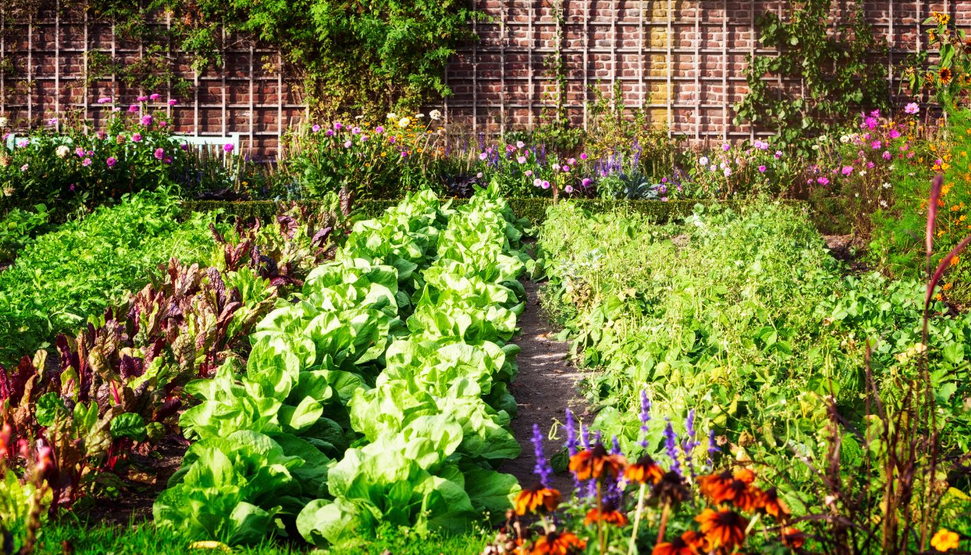 The Sustainable Choice: Why Organic Gardening Benefits You and the Planet